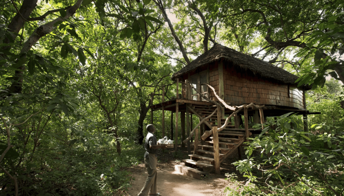 Lake Manyara Tree Lodge